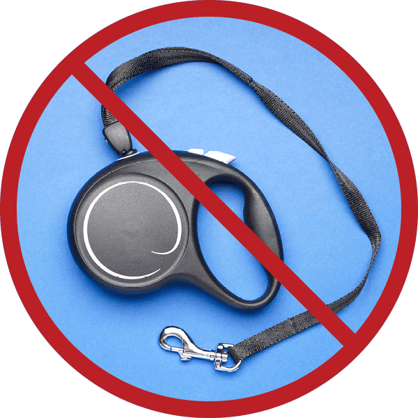 Retractable best sale leashes dangerous